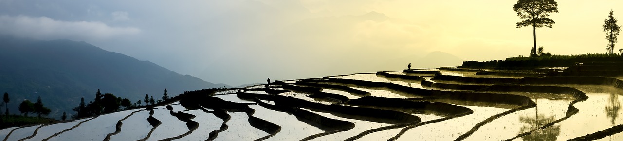 Eco-Friendly Farming - Understanding the Basics
